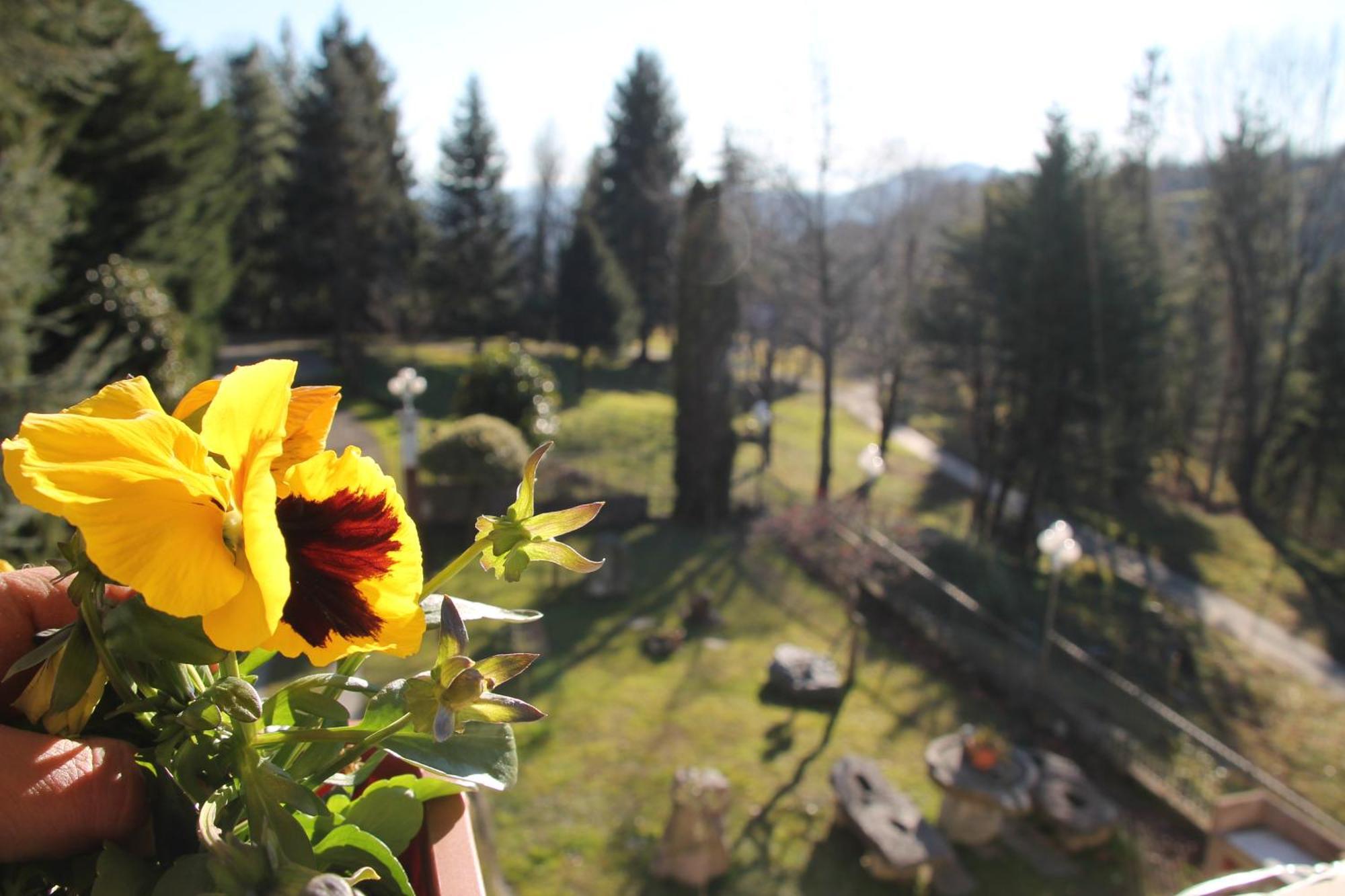 Bed and Breakfast Antica Dimora del Portico Borgiallo Esterno foto